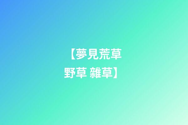 【夢見荒草 野草 雜草】